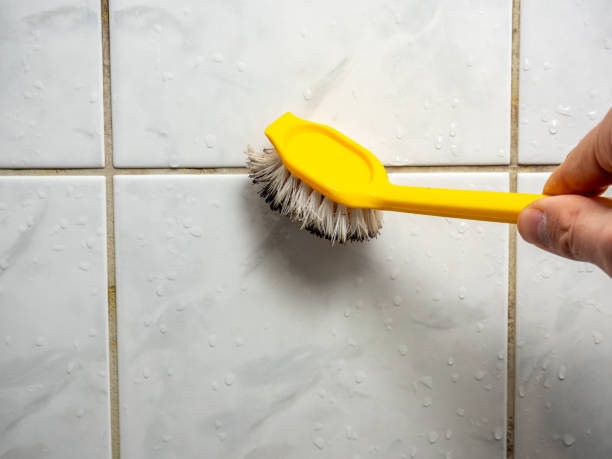 Best Affordable Mold Removal  in Mill Bay, AK