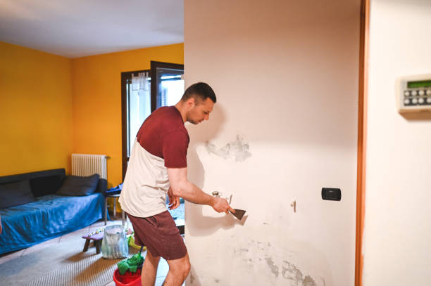 Best Mold Remediation  in Mill Bay, AK